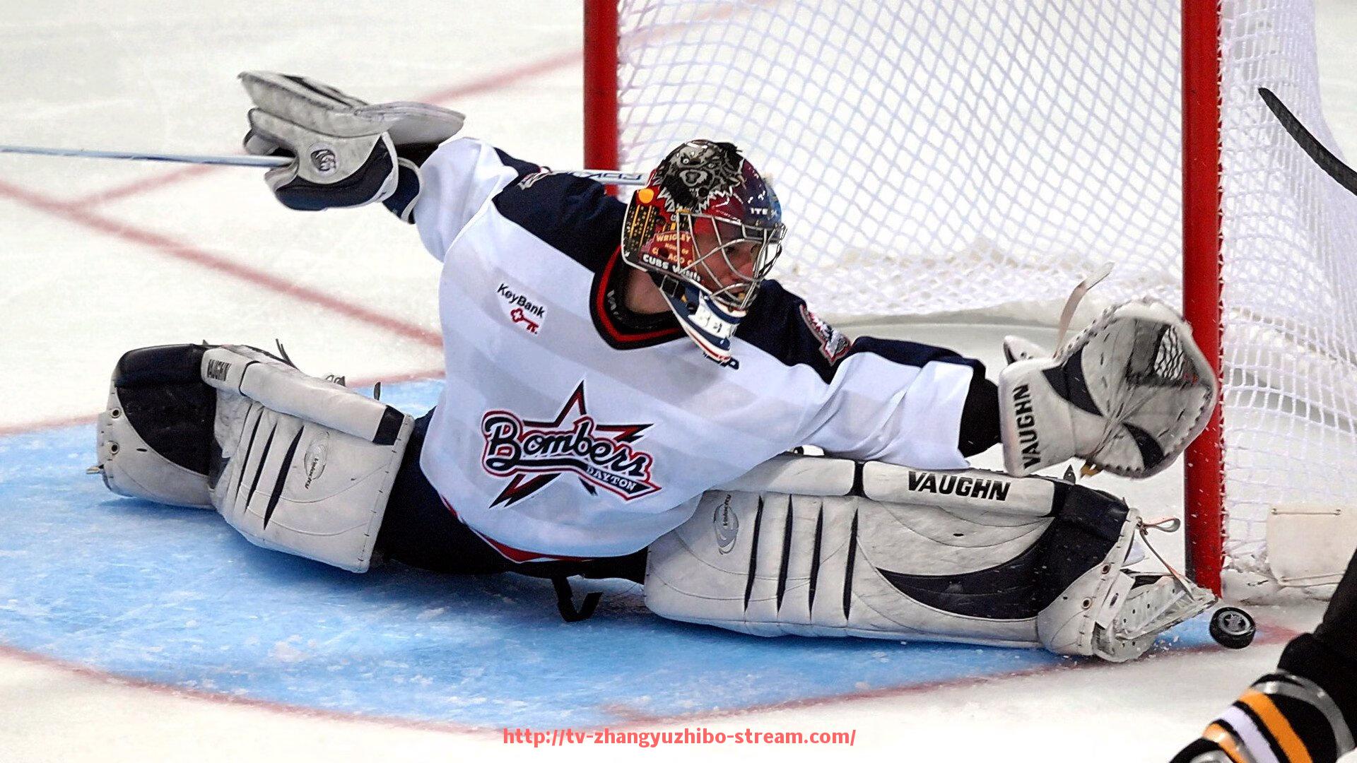 章鱼直播-德甲盈利能力最强的十大俱乐部排行